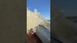 Покатушки- матюгушки