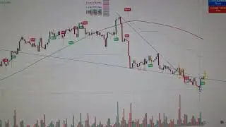 Бинарные опционы (Fix Contracts) на Альпари. Обзор рынка золота. Торговый план