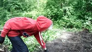 Огород в лесу.Целина.Типпи.№8. Forest garden. Tselina. Tippi.