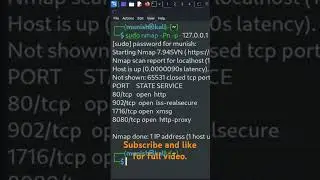 Scan all ports with one command.