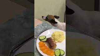 Любите пюрешку с котлетками? 