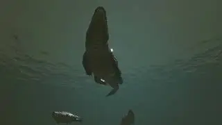 Swimming Crocodiles in Unity