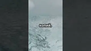 История Ледового побоища #history #рекомендации #shorts