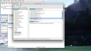 ST 4U 548: Basic CST Usage 2