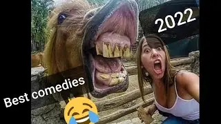 the best comedy of 2022