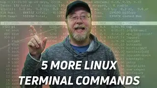 5 More Linux Terminal Commands for Beginners