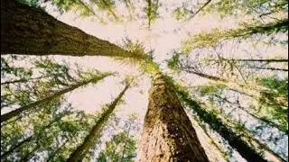 Salvatore Bezzi - Take Me Somewhere Else (Music Video 2021)