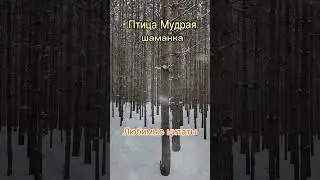 Любимые цитаты Птицы Мудрой