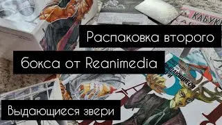 Обзор бокса Beastars | Reanimedia