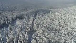 #Футаж