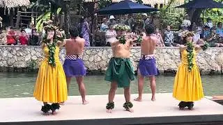 Aloha from Hawaii 