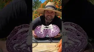 Homegrown Cabbage Salad 