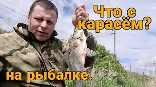Что с карасём? рыбалка.