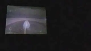 EP/Lockjaw vs. F5X~Storm