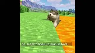 Minecraft puppies fall in lava