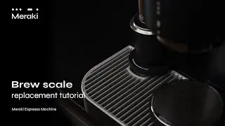 Replace the Brew Scale on Your Meraki Espresso Machine | Step-by-Step Guide