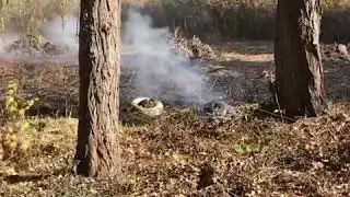 Поджог парка, обоесточили праздник (((