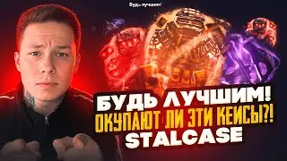 ОКУПАЮТ ЛИ ЭТИ КЕЙСЫ НА STALCASE? СТАЛКЕЙС ОКУПАЕМОСТЬ?