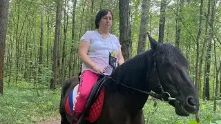 На лошади по лесу
