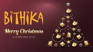 Merry Christmas from Bithika | An Indian Takeaway in Ballymurphy