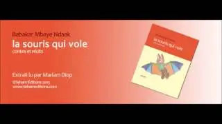 La souris vole de Babakar Mbaye Ndaak
