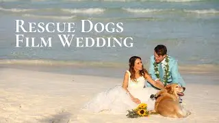 Rescue Dogs Film Wedding with GoPro Cameras | Dog Wedding Videographers