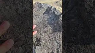 Орхон-Наймандардың көне жазулары