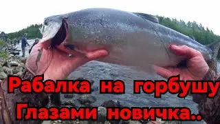 #ГОРБУША 2023#НАЧАЛО ИЮЛЯ #УМБА #РЫБАЛКА ГЛАЗАМИ НОВИЧКА #РЫБАЛКА НА СЕВЕРЕ #