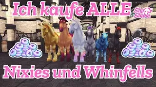 SSO 🐴 Sie gehen für immer! 😪 Pferdekauf Nixies und Whinfells