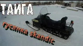 ВЫЕХАЛ НА ТАЙГЕ С ГУСЯНКОЙ ОТ СКАНДИКА