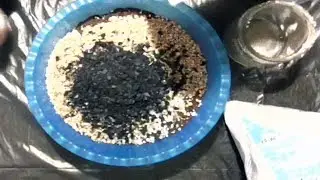 Фиалки. Грунт для верхнего полива.