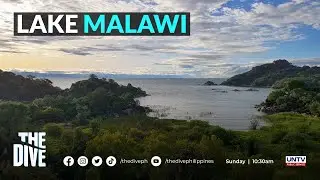 What to see under Lake Malawi, Africa #TheDivePH
