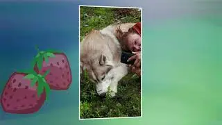 Как прекрасен этот мир!