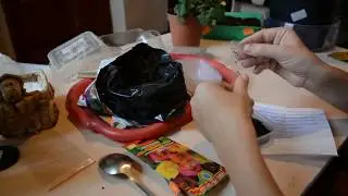 Абутилон из семян  2