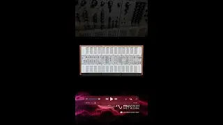 Analogue Solutions TC5000 | Pro Synth Network | Synth Discussion SynthFest 2024