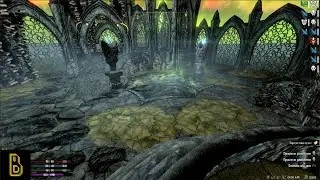 Море зелёнки. Skyrim Reflyem #11