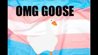 THAT GAME WITH THE FUNNY GOOSE !!
