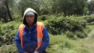 В кустах одесского парка кто-то торчит и стонет