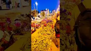 Москва. Большой Москворецкий мост.