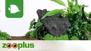 Aquarium Steine - Islandlava | zooplus