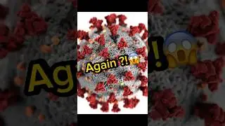 Norovirus #shorts #norovirus