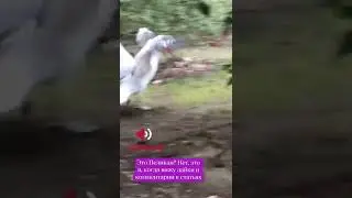 Друзья, я веду блог на Дзене. Приходите в гости, очень жду. 