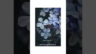 #shorts|best whatsapp status|flower status
