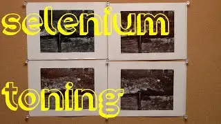 Selenium Toning