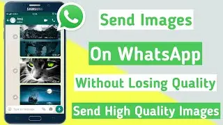 How To Send Images On WhatsApp Without Losing Quality | Send High-Quality Images On WhatsApp