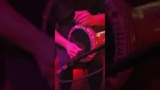 Orkestra Bahadır Demirci Ekibi