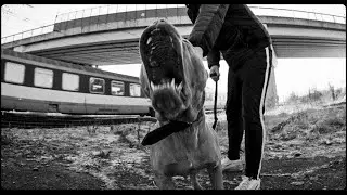 ERIK TRESOR - Finish (prod. soSpecial) |Official Video|