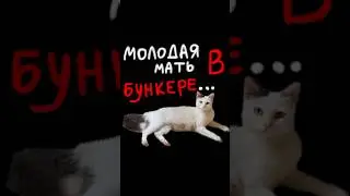 Такая красивая и такая бедная😭❤️🌈🦄