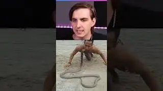 O my god 😳🫡
