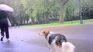 Bakfiets van Oosterparkbuurt naar Flevoparkbuurt. klein blikje camera test 1.